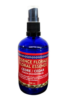  Essence florale de cèdre