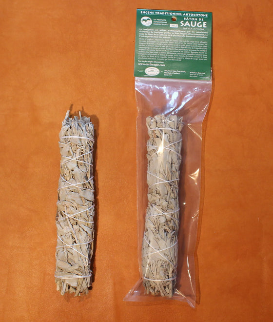 Bâtons de sauge blanche de Californie (salvia apiana)