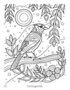 Livre de coloriage de Marissa Indoe