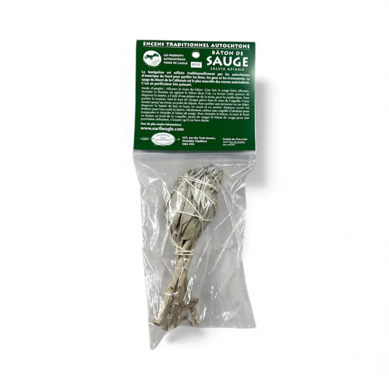 Petit bâton de sauge blanche de Californie (salvia apiana)