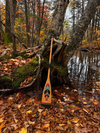The large Plume paddle