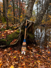 La grande pagaie Tipi
