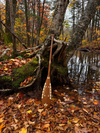 The Large Portage Paddle